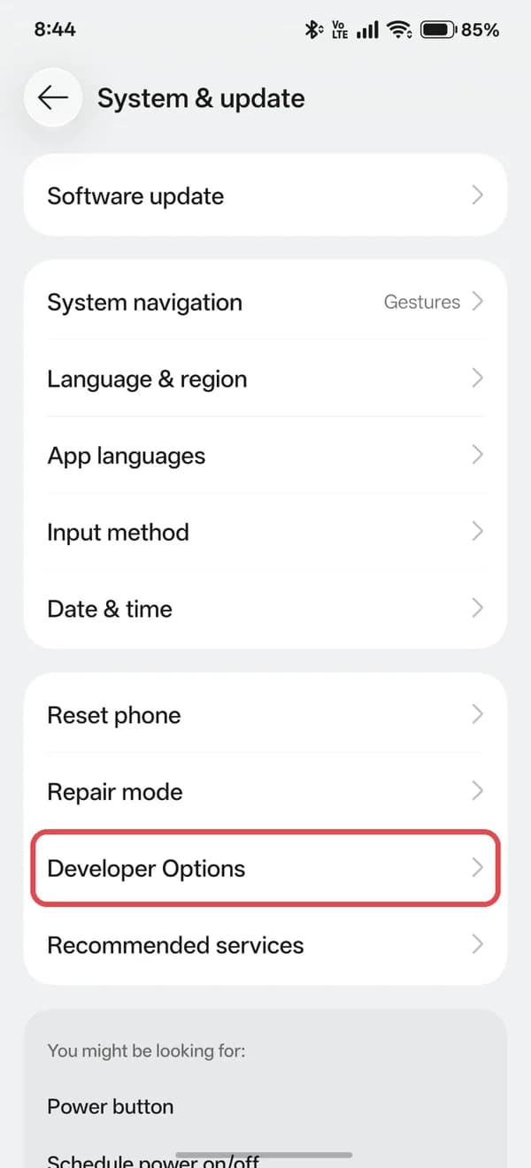 System & update with Developer Options highlighted