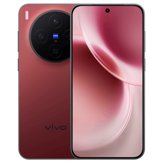 Vivo X300