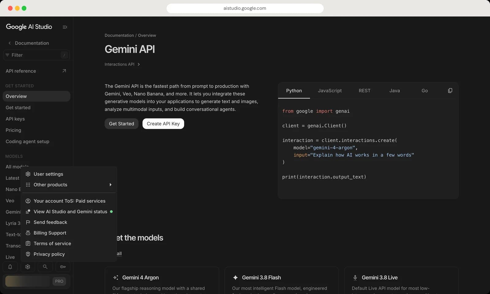 Google AI Studio docs, settings and account screen with each control numbered, screen 3 of 5