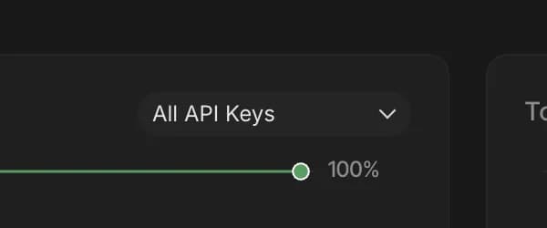 Key filter in Google AI Studio, zoomed in