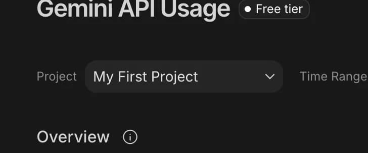 Project in Google AI Studio, zoomed in
