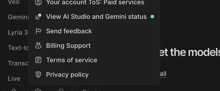 Billing Support in Google AI Studio, zoomed in