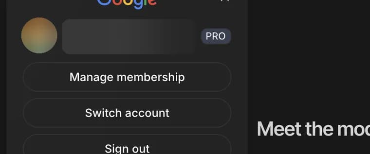 Manage membership in Google AI Studio, zoomed in