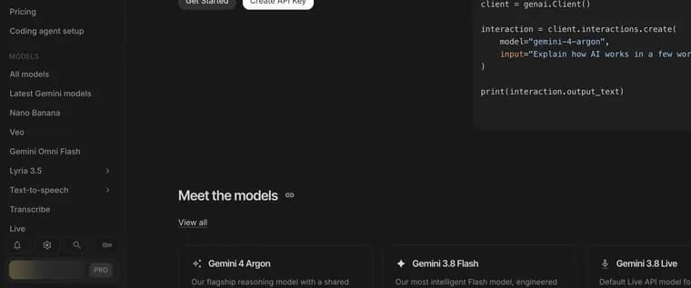 Models in Google AI Studio, zoomed in