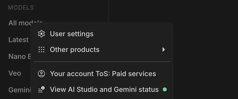 Other products in Google AI Studio, zoomed in