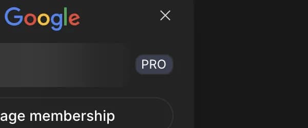 Plan badge in Google AI Studio, zoomed in