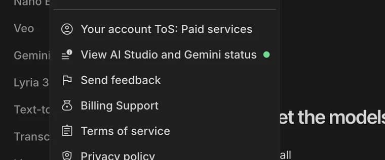Send feedback in Google AI Studio, zoomed in
