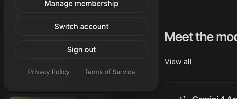 Sign out in Google AI Studio, zoomed in
