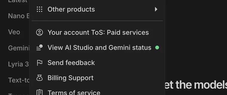 Status in Google AI Studio, zoomed in