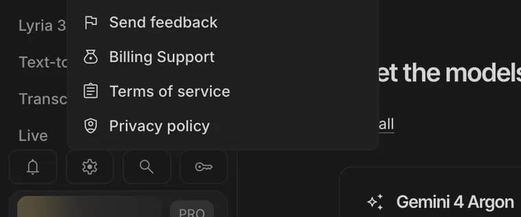 Terms and privacy in Google AI Studio, zoomed in