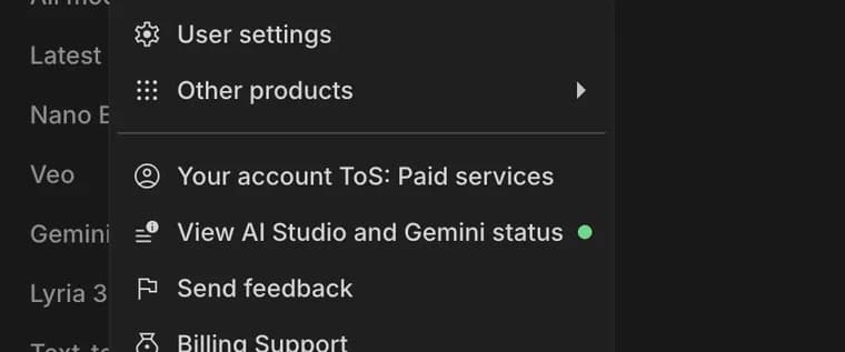 Terms you agreed to in Google AI Studio, zoomed in