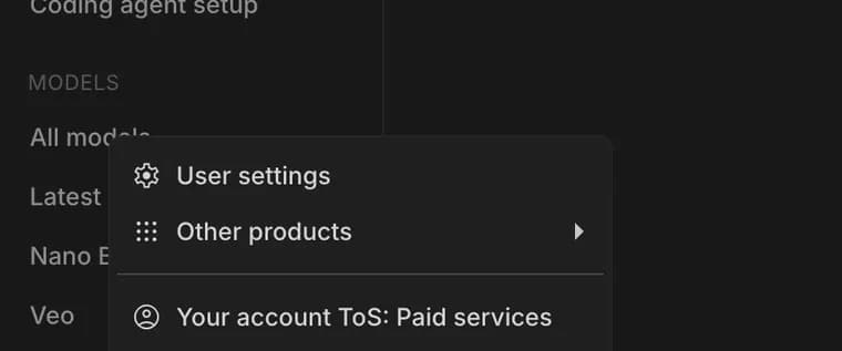 User settings in Google AI Studio, zoomed in