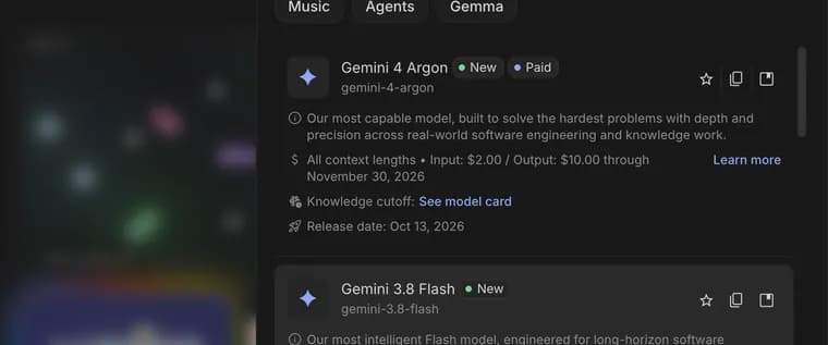 Model details in Google AI Studio, zoomed in