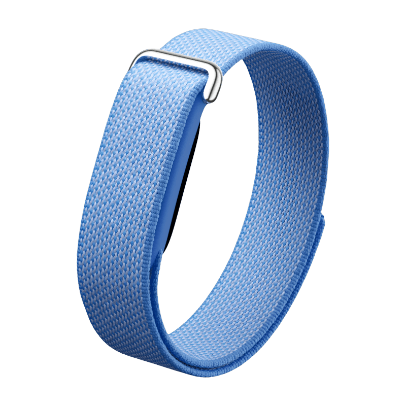 Google Fitbit Air