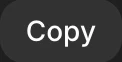 Copy icon in Google AI Studio