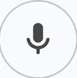 Voice icon in Google Health