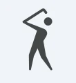 Golf icon in Google Health