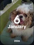 Memories icon in Google Photos