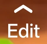 Back to editor icon in Edits