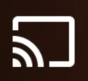 Cast icon in Netflix