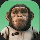 Switch profile icon in Netflix