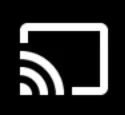 Cast icon in Netflix