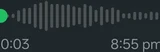 Voice message length icon in WhatsApp