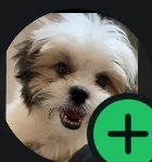 Add status icon in WhatsApp