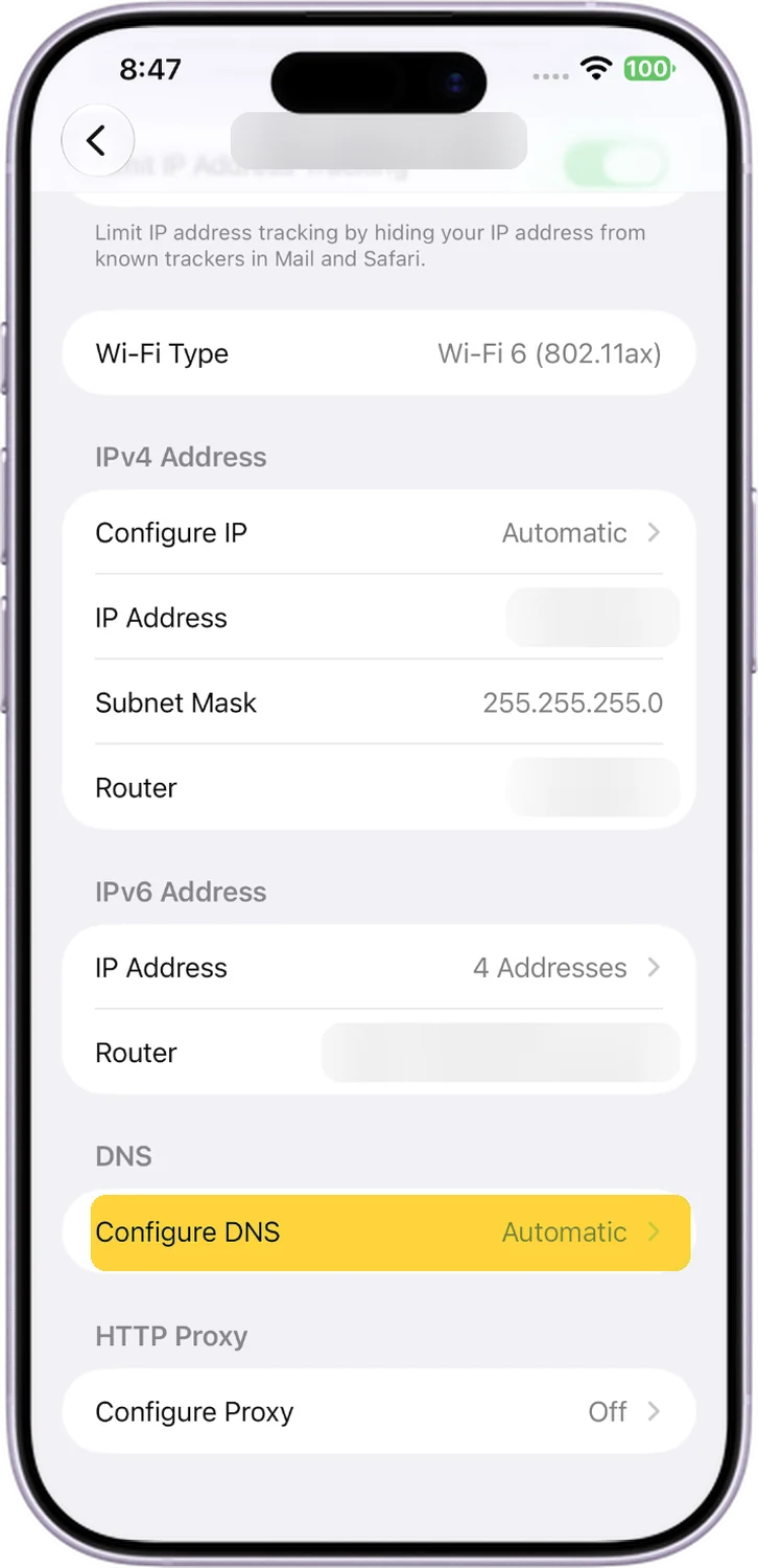 iPhone, step 3: Open Configure DNS