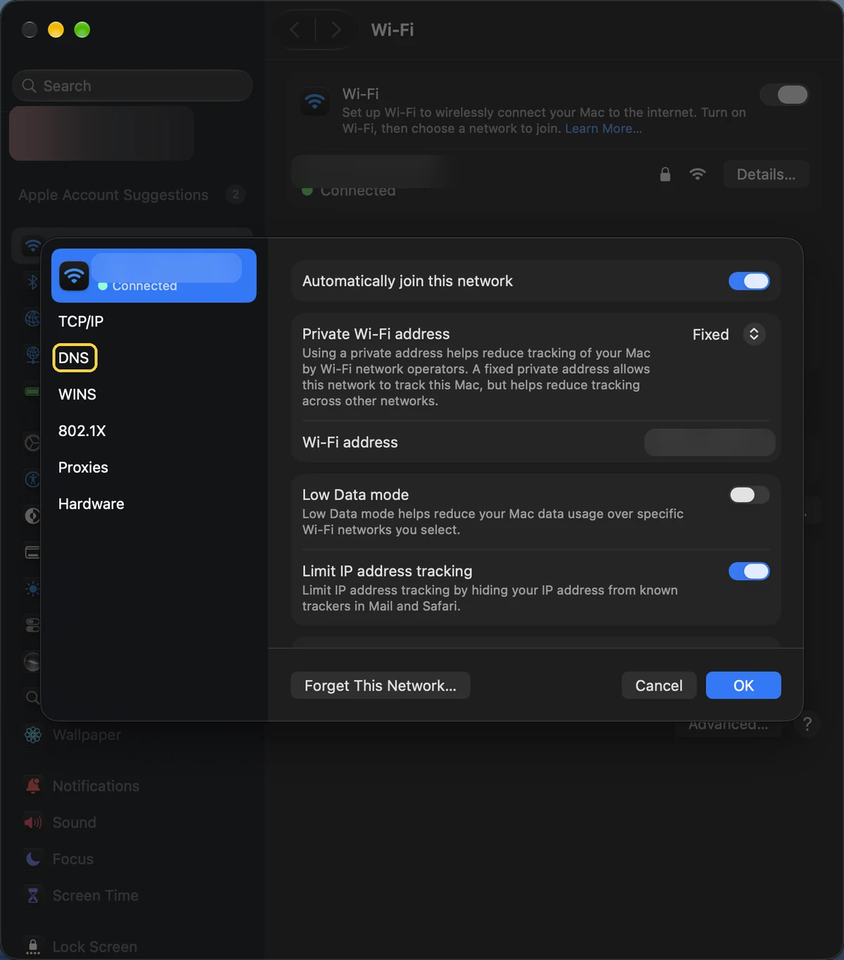 Mac, step 2: Open the DNS tab