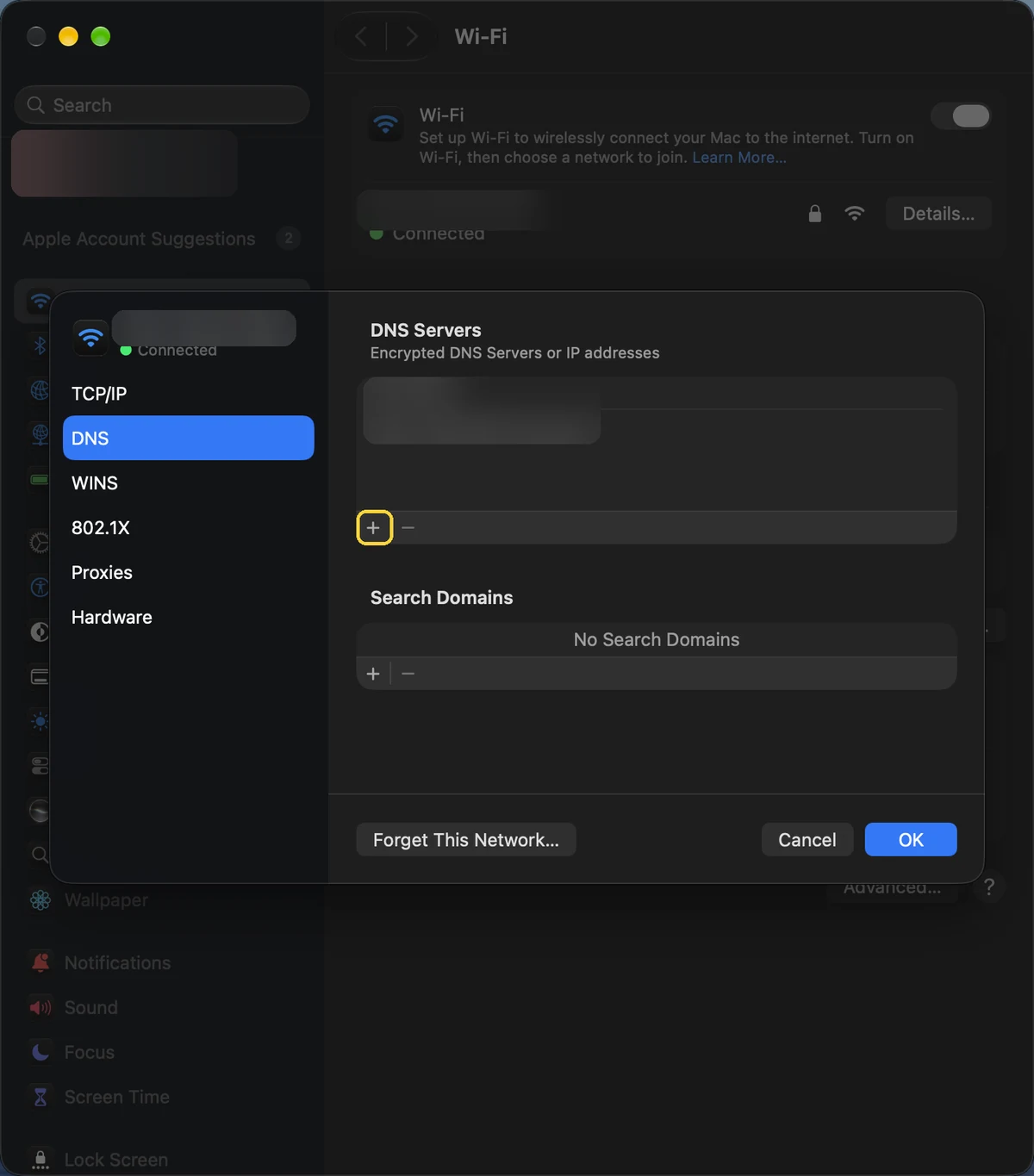 Mac, step 3: Add a DNS server